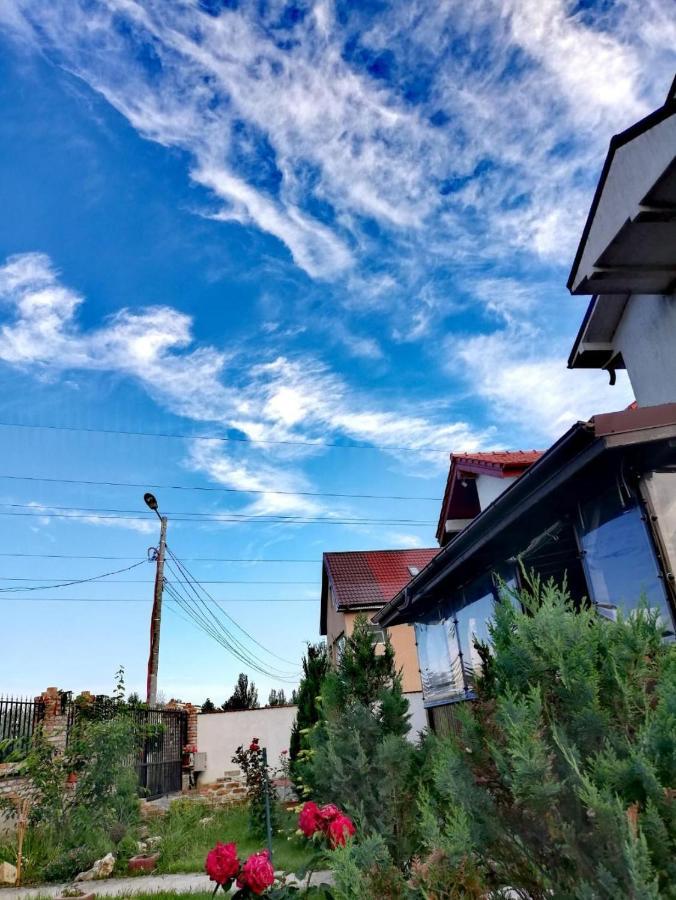 Casa Alba Hotell Năvodari Eksteriør bilde